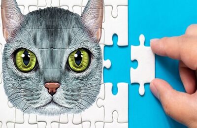 Abyssinian Puzzle Challenge