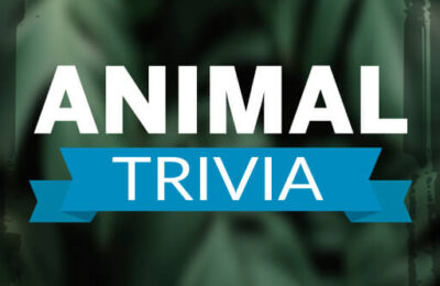 Animal Trivia