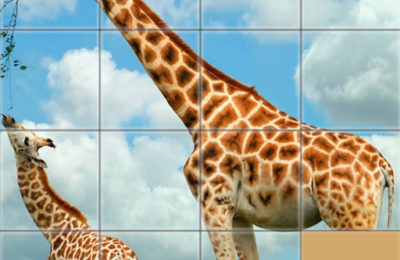 Animals Slide Puzzle