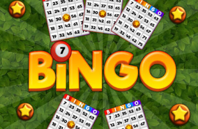 Bingo Revealer