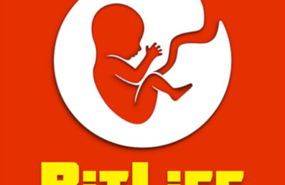 BitLife Life Simulator