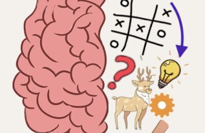 Brain puzzles-Quests