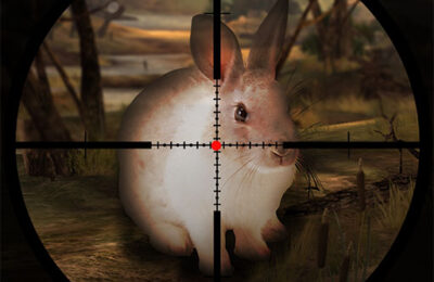 Classical Rabbit Sniper Hunting 2019