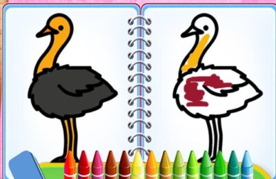 Coloring Birds Game