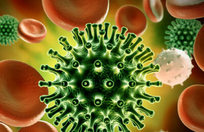 Coronavirus Puzzle