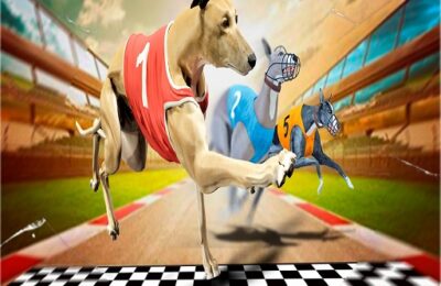 Crazy Dog Racing Game 2020