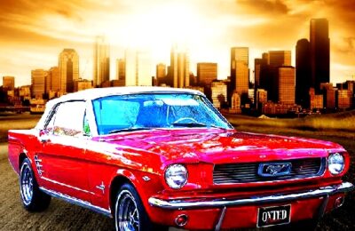 Daily Mustang Jigsaw