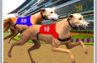 Dog Race Sim 2020: Dog Racing Games