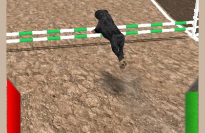 Dog Racing Simulator