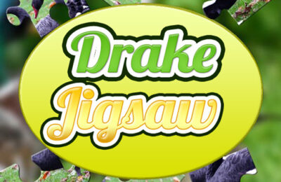 Drake Jigsaw