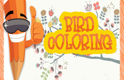 EG Birds Coloring