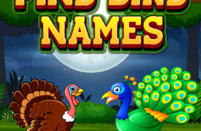 Find Birds Names