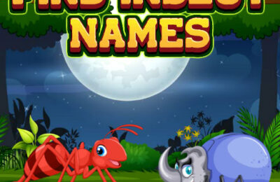 Find Insects Names