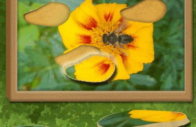 Find & Restore: Hidden Puzzle