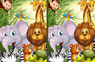 Find Seven Differences Animals