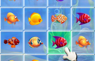 Fishing Puzzles