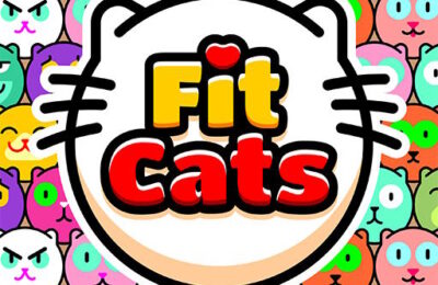 Fit Cats