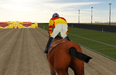 Horse Ride Racing