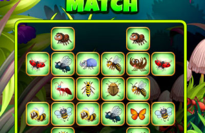 Insects Bumping Match