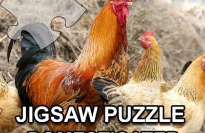 Jigsaw Puzzle Domesticated Animals