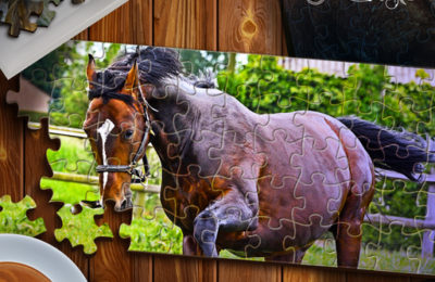 Jigsaw Puzzle Horses Edition