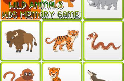 Kids Memory Wild Animals