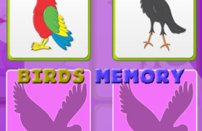 Kids Memory with Birds