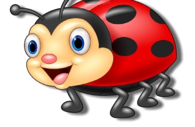 Ladybug Coloring Book