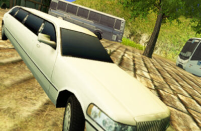 Limousine Driver