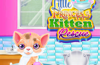Little Princess Kitten Rescue
