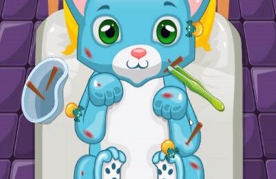 Pet Doctor : Animal Care Game