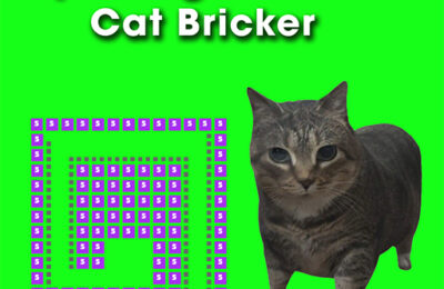 Spinning Uia Uia Cat Bricker