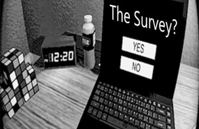 THE SURVEY