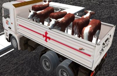 Truck Transport Domestic Animals