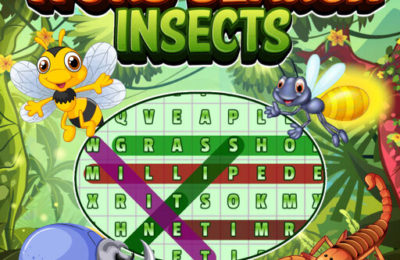 Word Search Insects