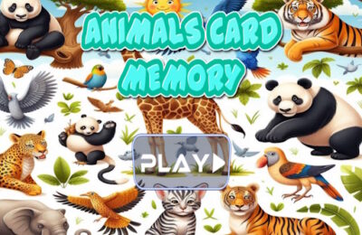 Animal cards memory