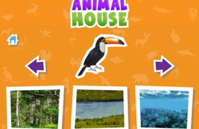 Animal  House game