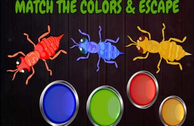 Ants: Tap Tap Color Ants