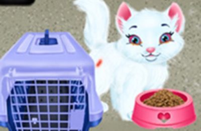 Baby Taylor Pet Care – Save Cute Animals