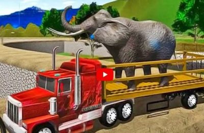 Big Farm Animal Transport Truck