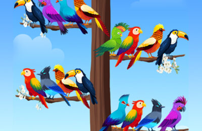 Bird Sort Puzzles