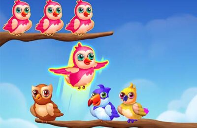 Birds Sort Color Match Puzzle