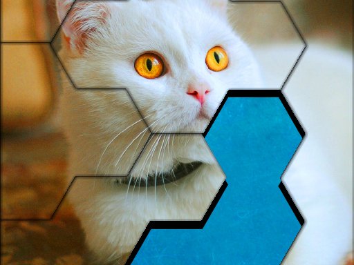 Blocks Hexa Jigsaw Puzzle™