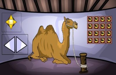 Camel Escape