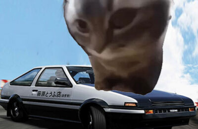 Car Stunt Chipi Chipi Chapa Chapa Cat