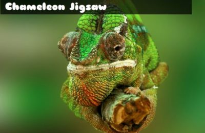 Chameleon Jigsaw