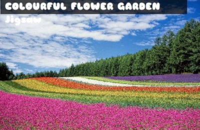 Colourful Flower Garden Jigsaw