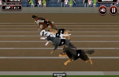 Crazy Dog Racing Simulator Games 3D