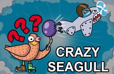 Crazy Seagull