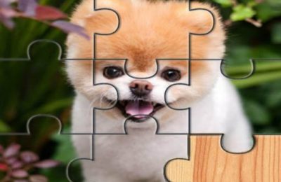 Cute Dogs Jigsaw Puzlle